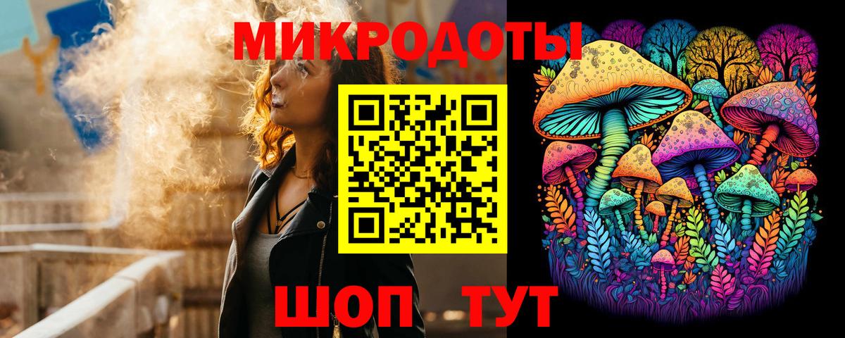 Екатеринбург  Галлюциногенные грибы Psilocybe  Вход с VPN 